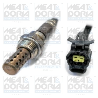 Oxygen Sensor